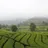 imageBandung