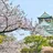 imageOsaka