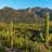 imageTucson