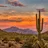 imageParc National de Saguaro