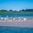 imagePadre Island (Padre Island National Seashore)