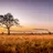imageWest Africa