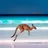 imageAustralie