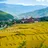 imageBhutan