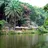 imageDemocratic Republic of the Congo