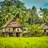 imagePapua New Guinea