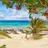 imageSharm El-Shiekh