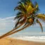 Côte d'Ivoire