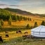 Mongolie