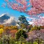 Japon