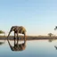 Botswana