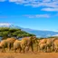 Kenya