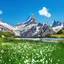 Suisse