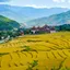 Bhutan
