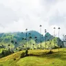 travel planner
